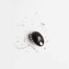 Ebony Duck Egg Ring